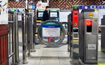 Wheelchair Access Gate 