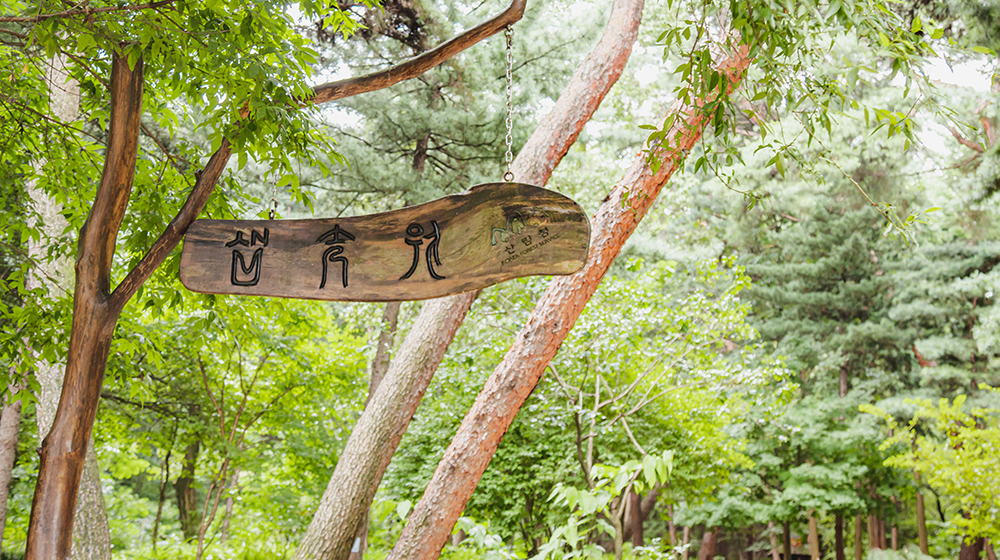 Samtaegi Forest in Sangwolgok-dong