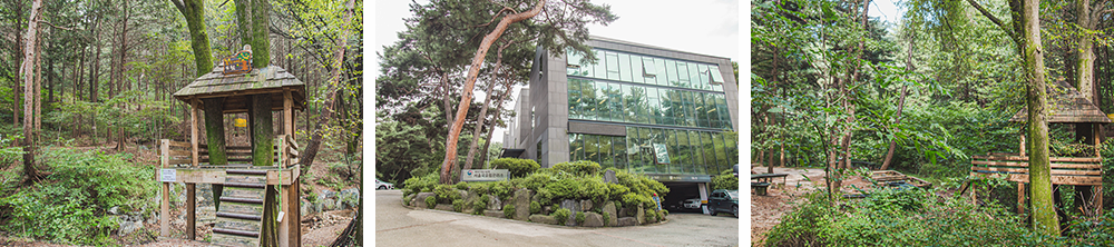 Samtaegi Forest in Sangwolgok-dong