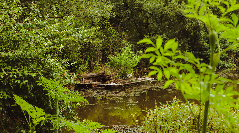 Gil-dong Ecological Park