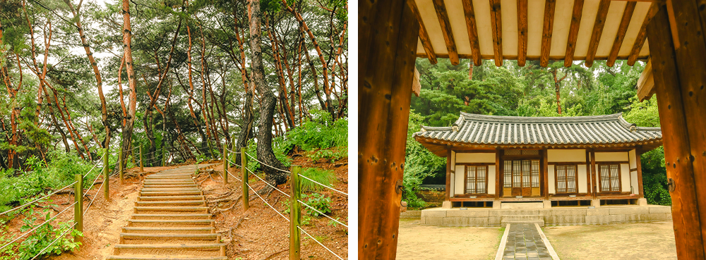 Nadeul-gil in Seonjeongneung Royal Tombs