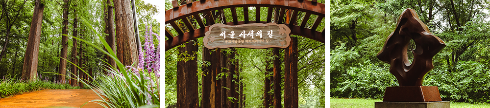 Metasequoia Path in Yangjae Citizen’s Forest