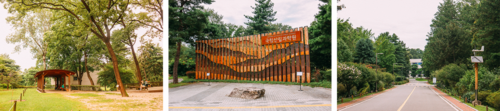 Hongneung Forest of the National Institute of Forest Science