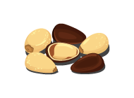 Pine Nuts