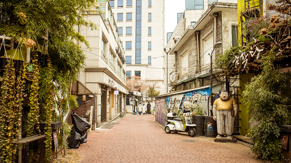 Alleyway in Pil-dong showing a narrow passage laid in brick and vines and other vegetation growing on both buildings off to the sides with an extension area wall painted over in graffiti