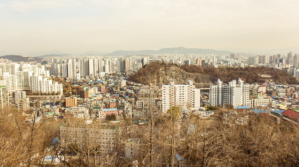 An early winter scene looking out over Changsin-dong with leafless trees and plants just beneath up front