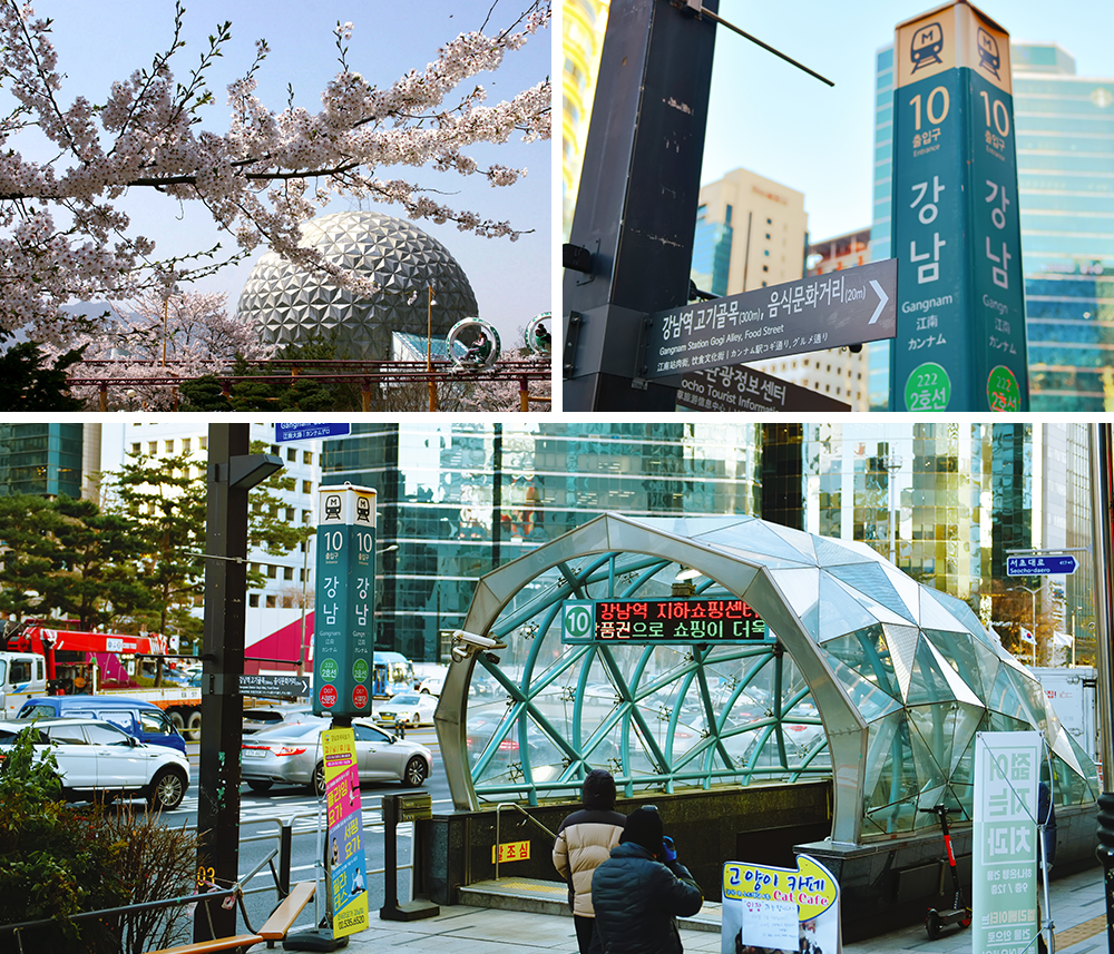 왼쪽 위: 벚꽃이 있는 과천 서울랜드의 사진, 오른쪽 위: 강남역 10번 출구와 음식문화거리 표지판, 아래: 강남역 10번출구 사진