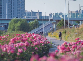 중랑천 제방