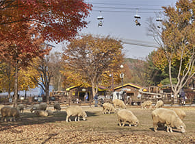 서울대공원