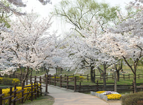 용산가족공원