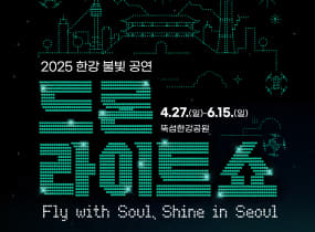 2025 한강 드론 라이트 쇼