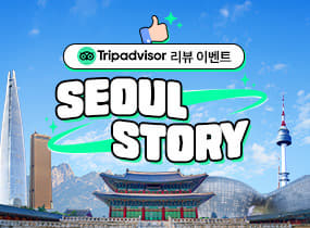 Tripadvisor  리뷰 이벤트 SEOUL STORY