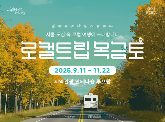 로컬트립 목금토
