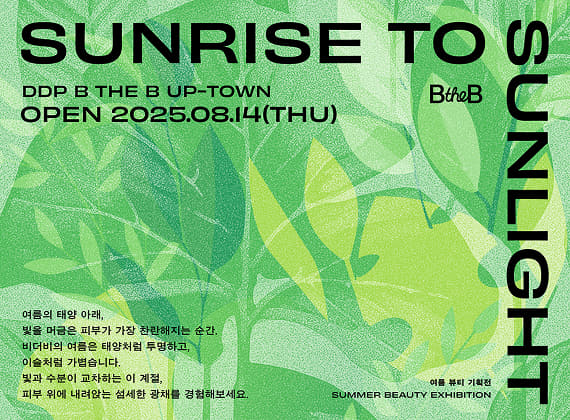 선라이즈 투 선라잇(Sunrise to Sunlight)