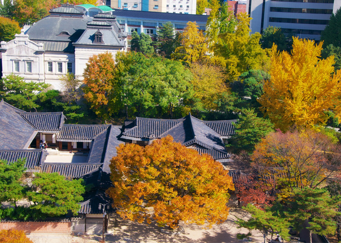 고궁을 찾다