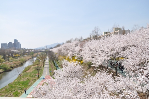 K-pop 뮤직비디오 속 서울의 그곳!