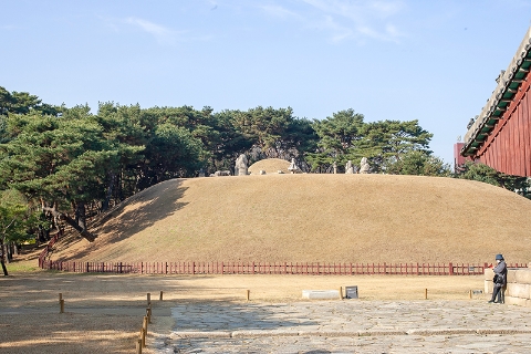 영화 <도굴>의 모티브가 된 도심 속 오아시스, 조선왕릉