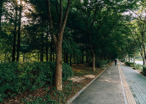 가을단풍길(월드컵로)