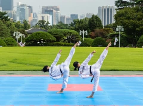 한국이 세계에 준 선물, 태권도와 함께하는 서울 여행