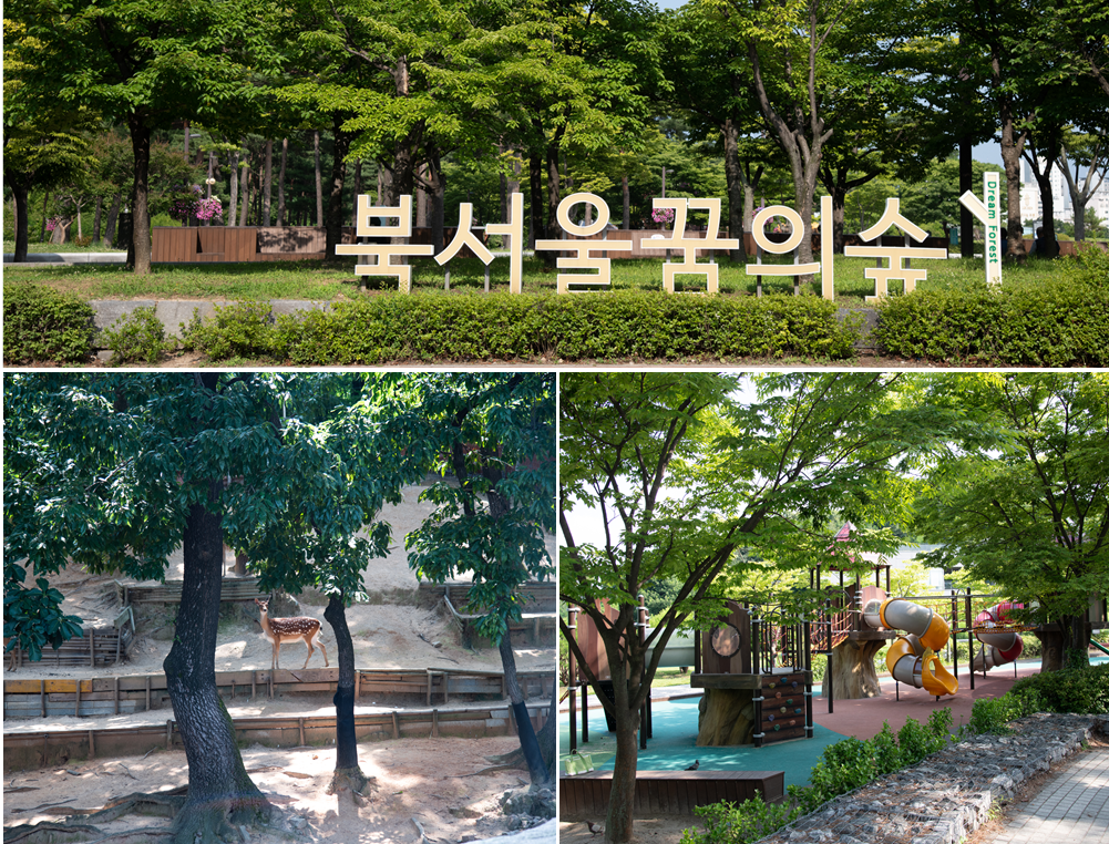 1) Panoramic view of the Dream Forest that allows visitors to enjoy nature, 2) A deer cage inside the Dream Forest, 3) Sang Sang Children’s Park inside the Dream Forest