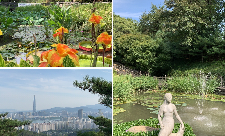 Tiga gambar. Bahagian kiri atas: Gambar tumbuhan di tasik. Bahagian kiri bawah: Gambar panorama Seoul dari atas gunung. Bahagian kanan: Gambaran panorama sebuah tasik di taman ekologi.