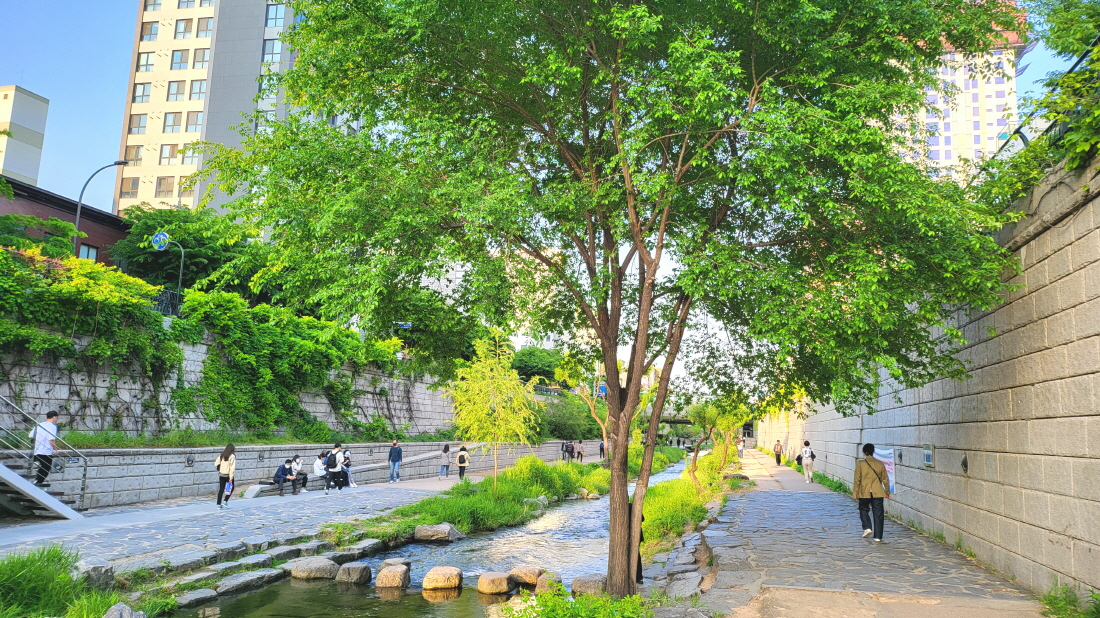 Cheonggyecheon | The Official Travel Guide to Seoul