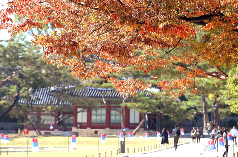 창경궁 코스 메인사진