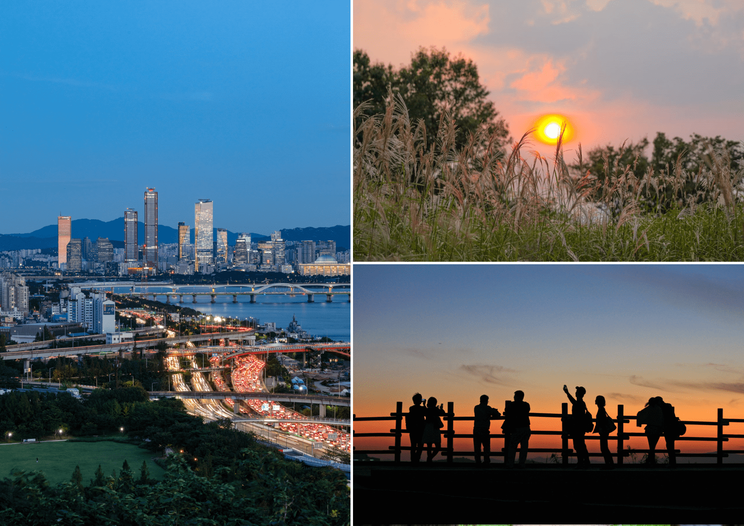 First picture: View of Seoul's nightscape from Haneul Park.  Second picture: The sunset in the silver grass habitats at Haneul Park.  Third picture: People watching the sunset from the obervatory of Haneul Park.