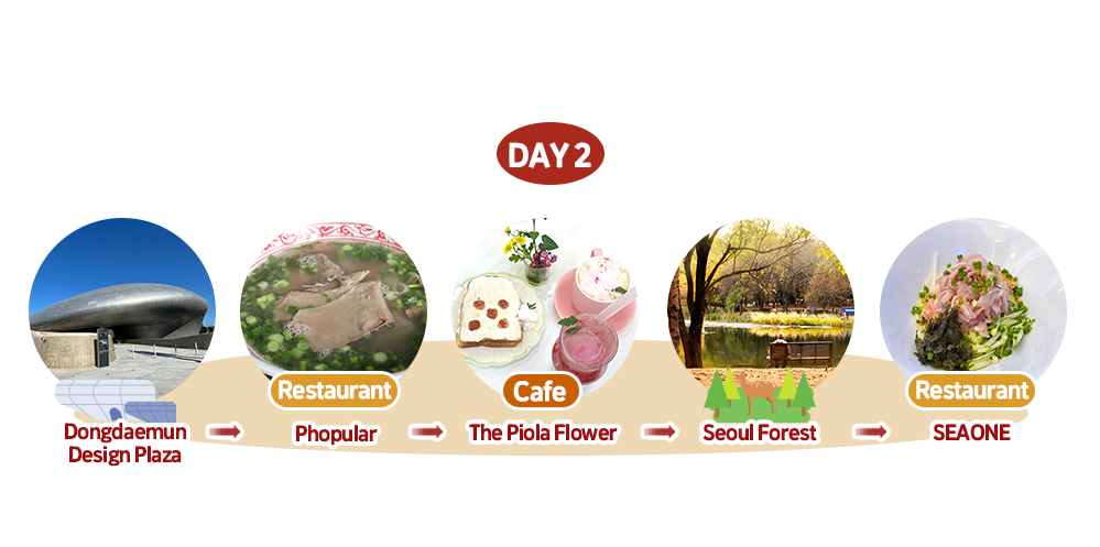 Seoul Two-Days and One-Night Trip Course Cover. An In-Depth Trip to Experience Various Aspects of Seoul. Course order: (DAY 2) Dongdaemun Design Plaza (DDP) → Phopular → The Piola Flower → Seoul Forest → SEAONE